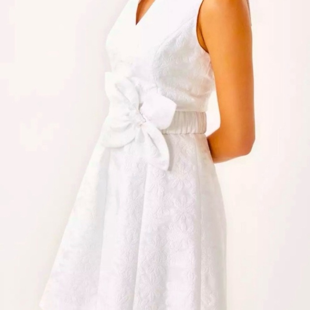 Lilly Pulitzer NWT Tazie Dress NWT size 10 - Picture 3 of 8